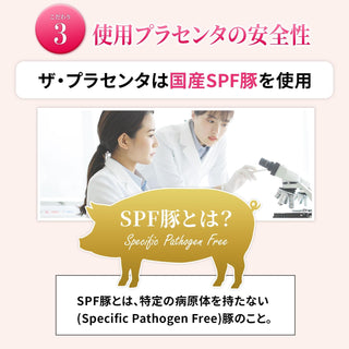 The Placenta Soft Capsule 90 capsules