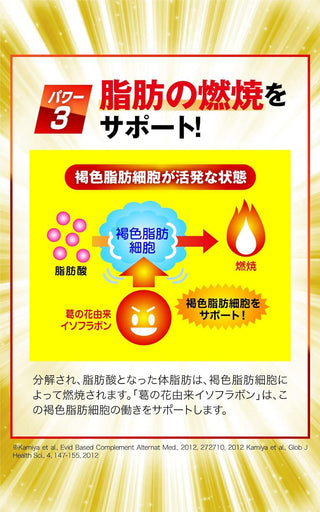 Fat Reduction Gen EX 60 capsules (30-day supply) helps obese people reduce weight, abdominal fat, and waist circumference [ Functional Foods: Contains isoflavone derived from kuzu flower, made in Japan ].