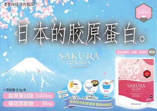 Ito Kampo Pharmaceutical SAKURA Collagen approx. 30 days 93 g (approx. 3.1 g/day)