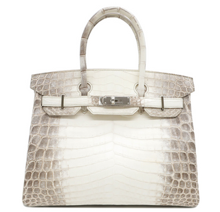 Hermes Handbag Birkin Himalayan White Niloticus Matte Engraved X