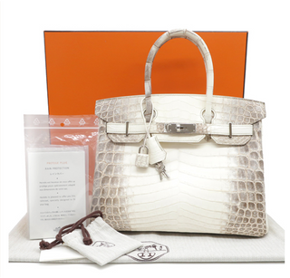 Hermes Handbag Birkin Himalayan White Niloticus Matte Engraved X