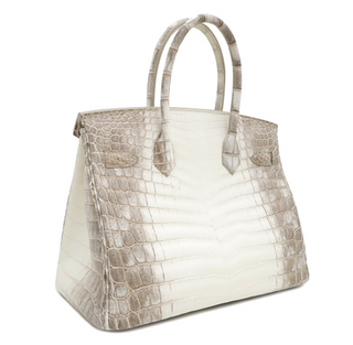 Hermes Handbag Birkin Himalayan White Niloticus Matte Engraved X