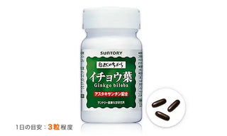 Ginkgo Biloba (90 capsules)